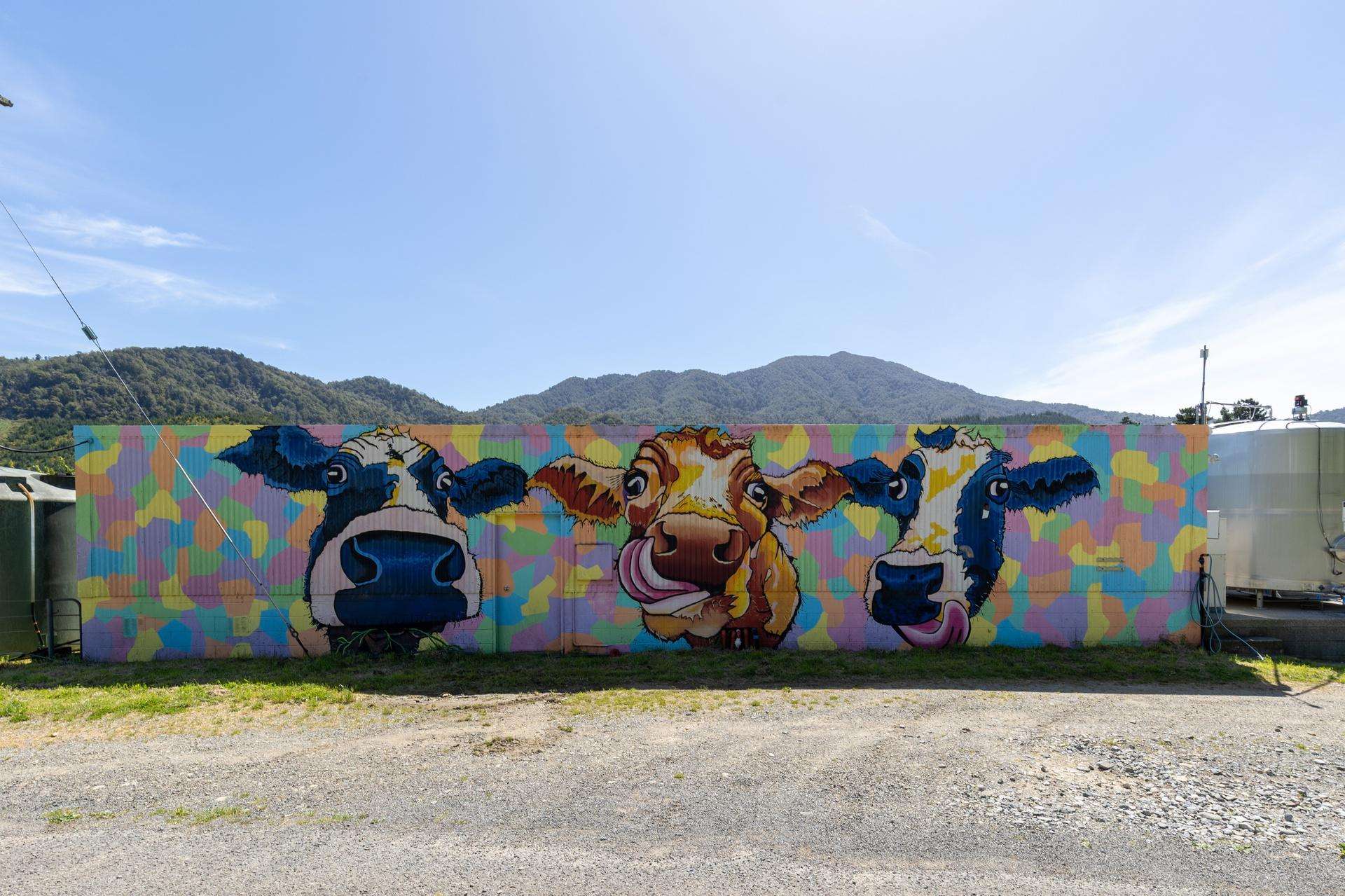 537 Ronga Road Rai Valley_0