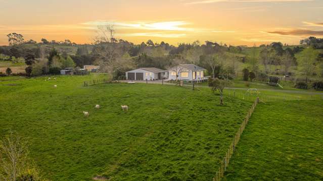 Live, Build, Subdivide - Explore the options!