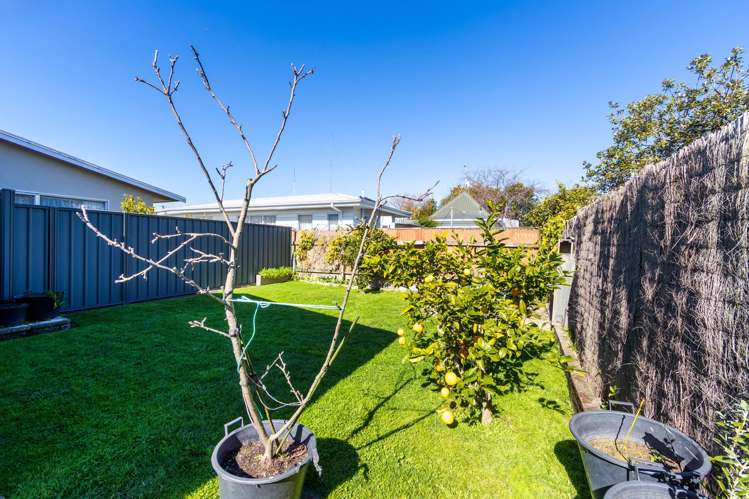 3/17 Waterhouse Street Taradale_5
