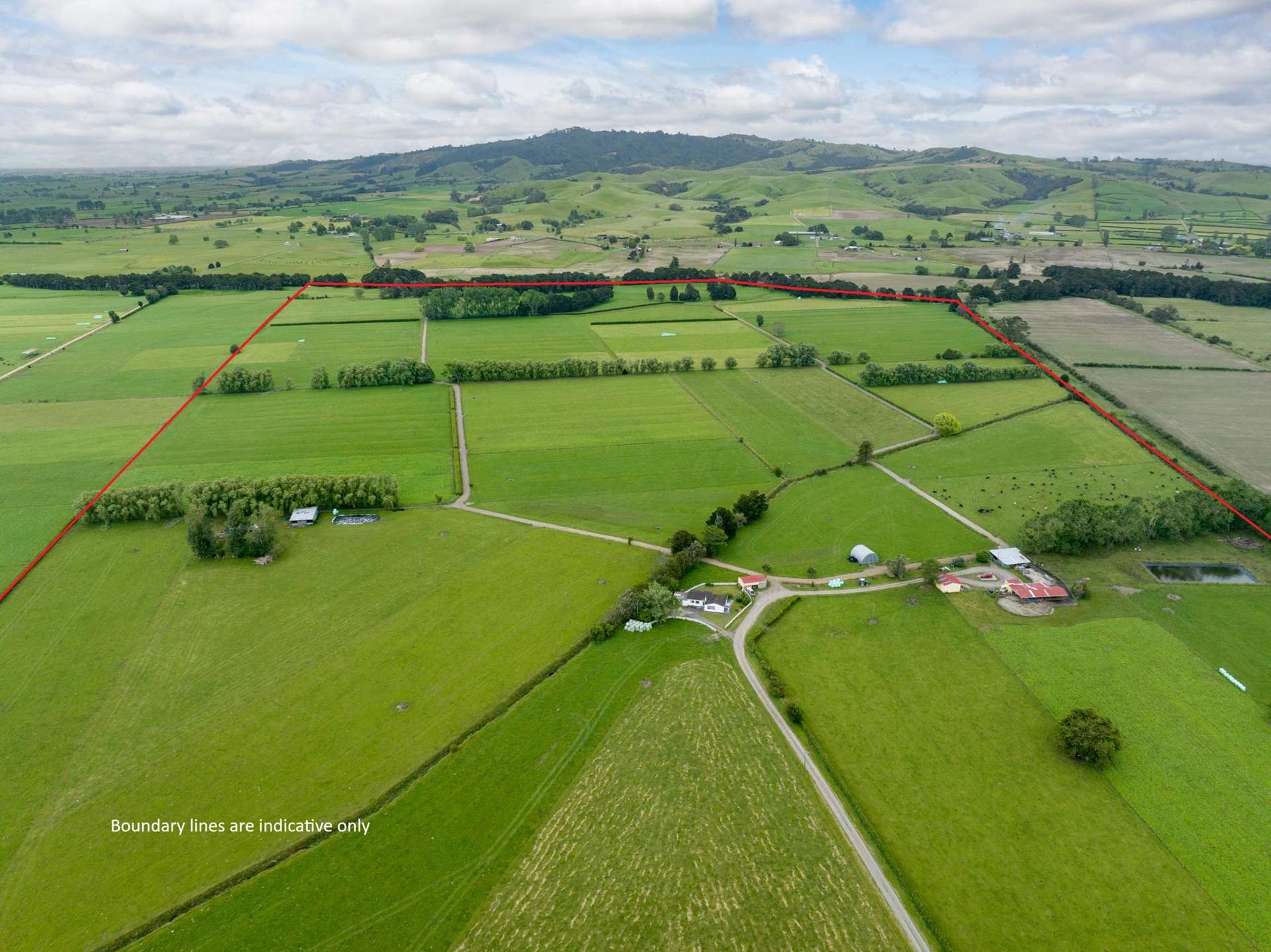 250 No 8 Road Morrinsville_0