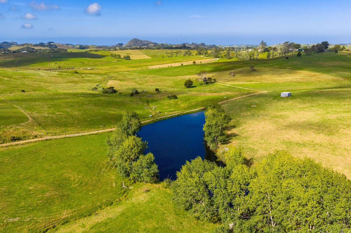 271 Pataua South Road_3