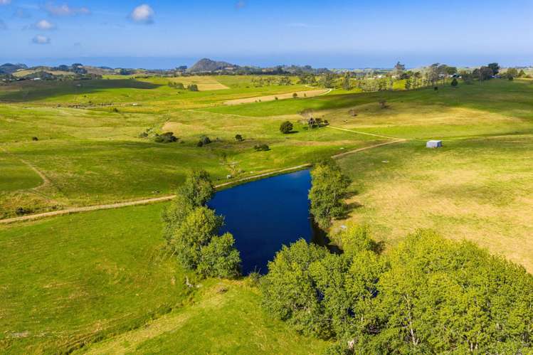 271 Pataua South Road Pataua South_7