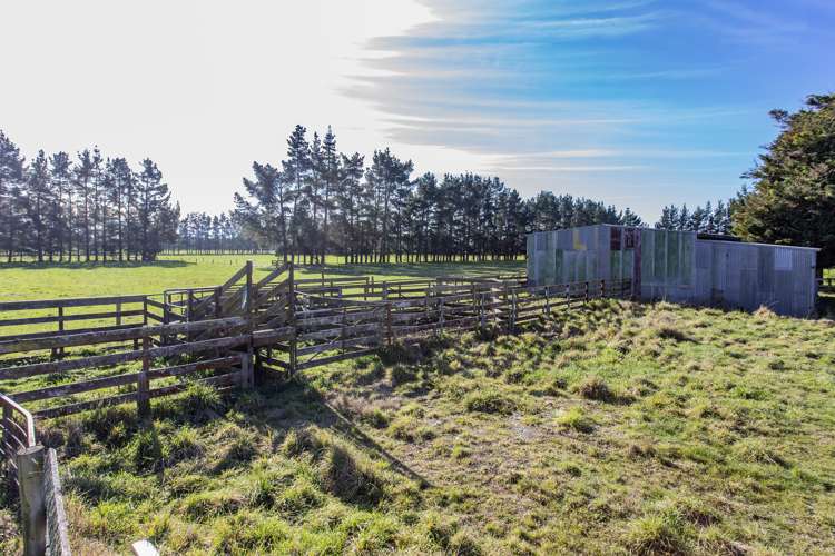 1197 Wolffs Road West Eyreton_18