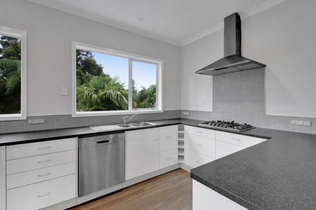 55 Mill Road Lower Vogeltown_4