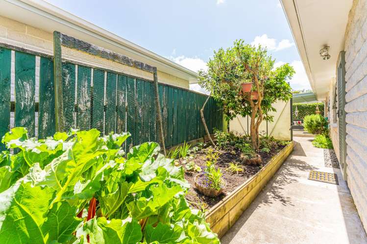3a Gerse Street Wanganui East_21