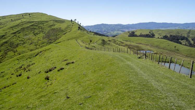 7 Hikawera Road Hinakura_8