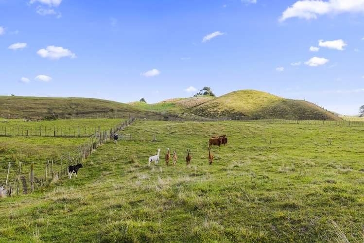 696b Poutakataka Road Atiamuri_30