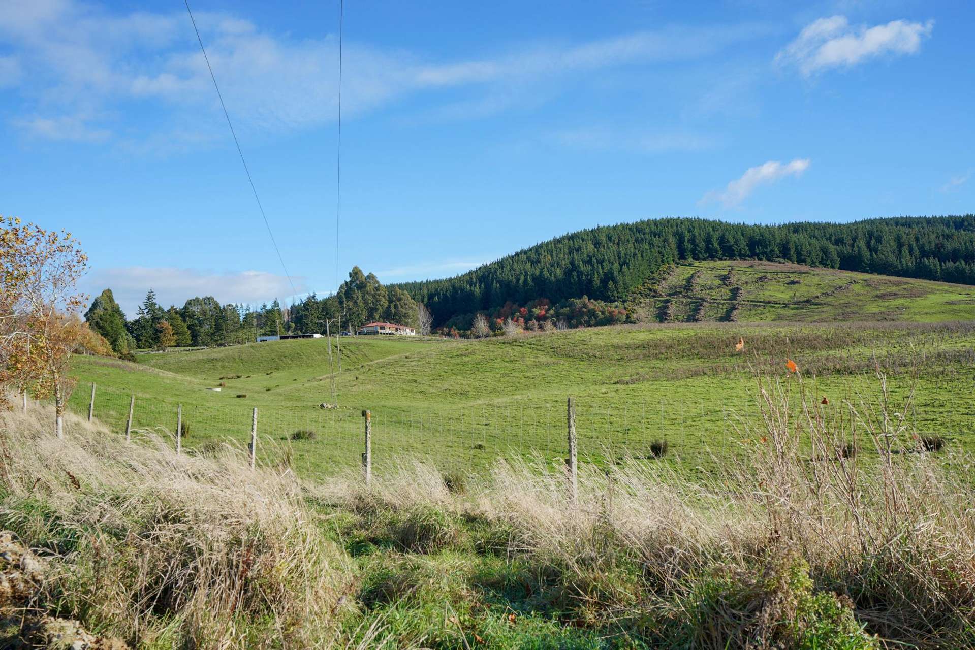 189 Heenan Road Opio_0