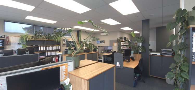 22 Louvain Street Whakatane_6