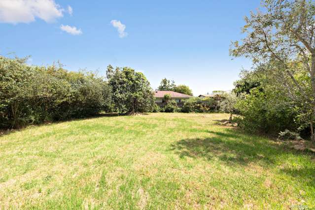 119 Ash Street Avondale_3