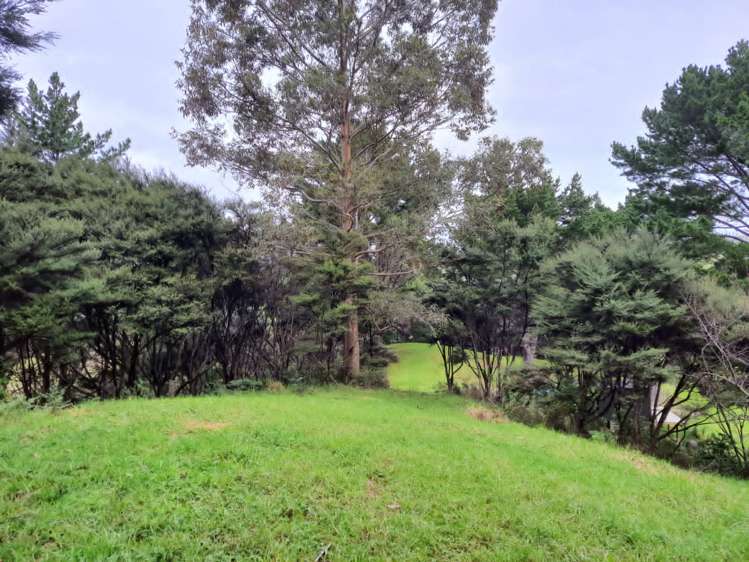 184 Whangape Road Herekino_10