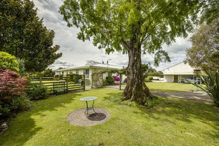 52 Napier Street Jervoistown_34