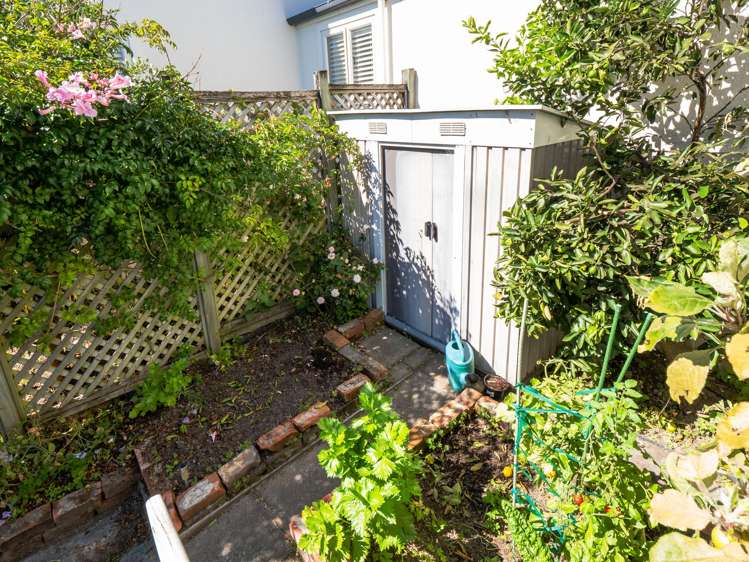 5F Rue Renard Akaroa_30