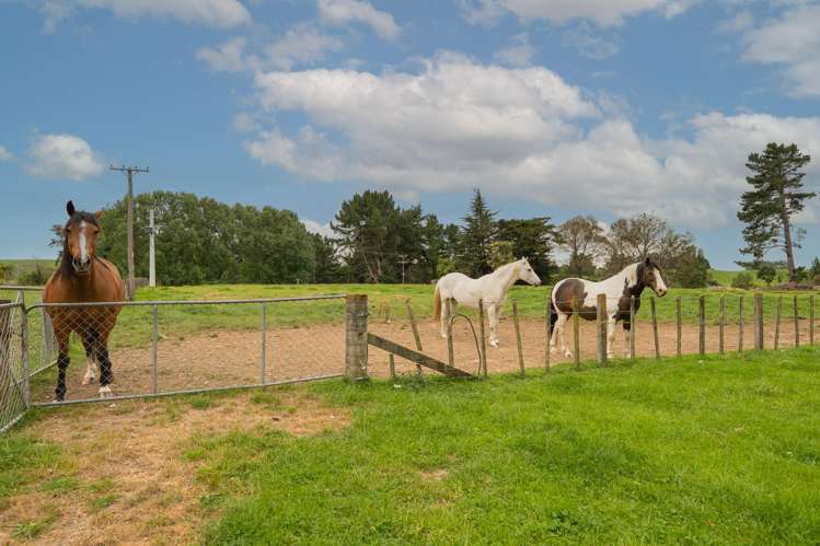 1723 Cheltenham Hunterville Road Waituna West_25