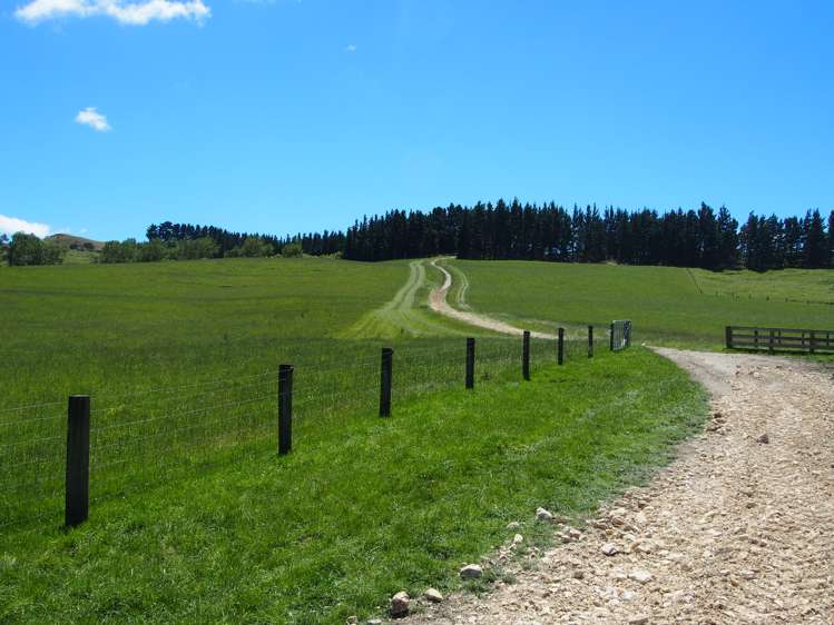 456 Ngawaka Road Central Hawkes Bay Country_16