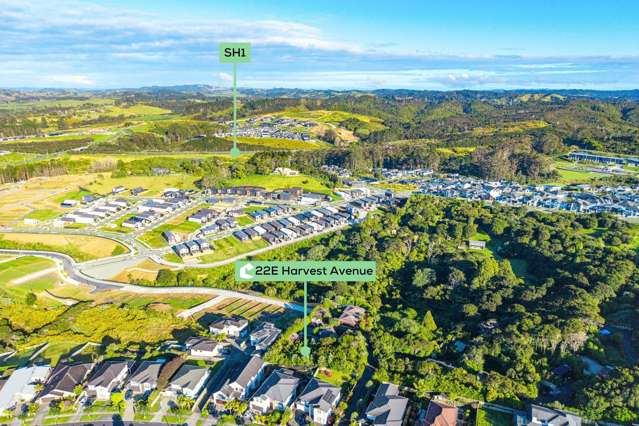 22E Harvest Avenue Orewa_3