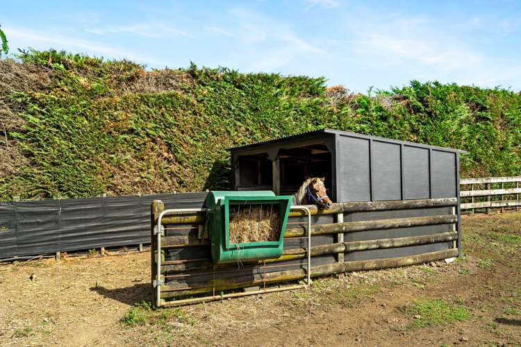 694 Ngunguru Road Glenbervie_24