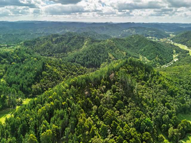 Pokapu Road Matawaia_3