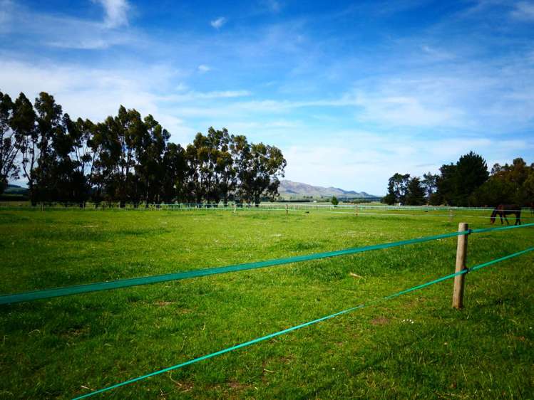 10 Singleton Street Waikari_26