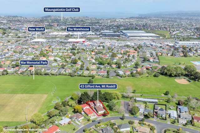 43 Gifford Avenue Mt Roskill_1