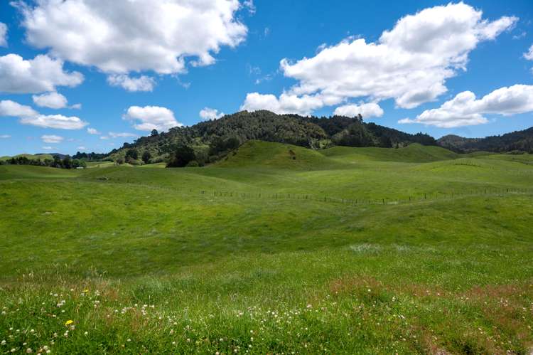 286 Jay Road Reporoa and Surrounds_15