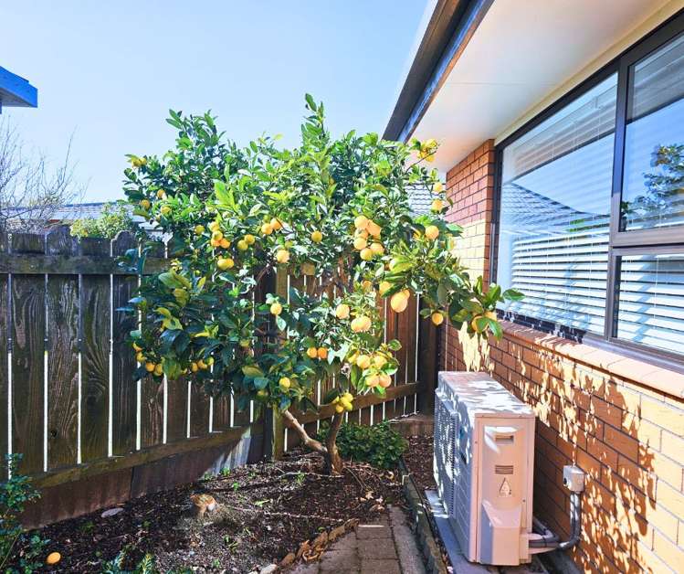 2/45 Hospital Road Blenheim_15