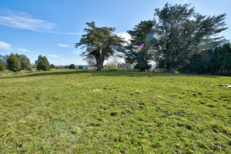 Braudigam Road East Tapanui_24