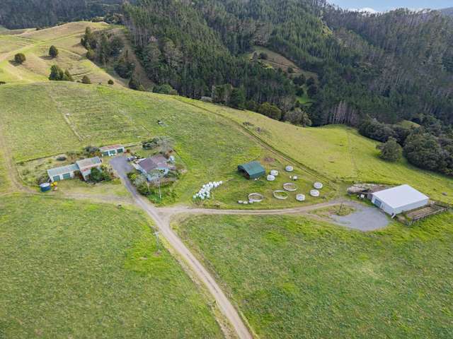 205 Teatree Flat Road Whakapara_1