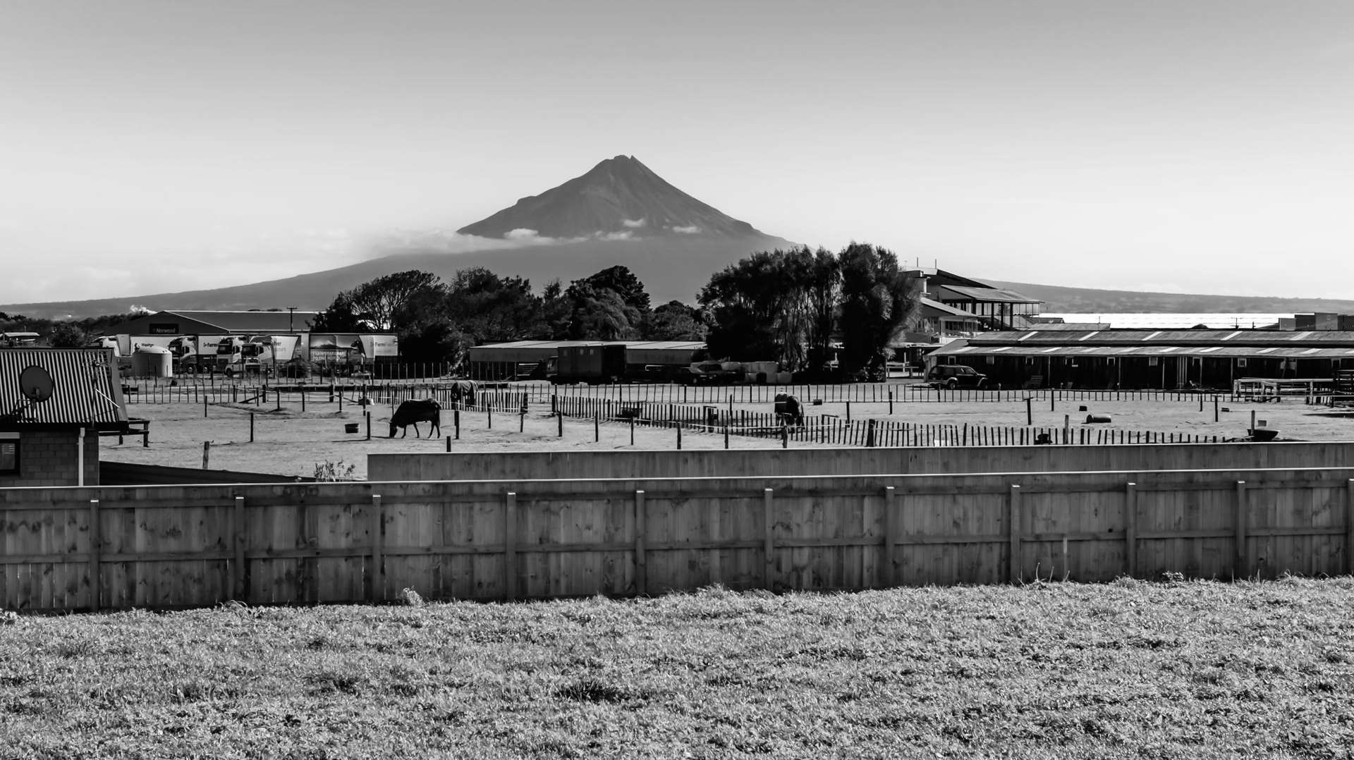 38 Fantham Street Hawera_0