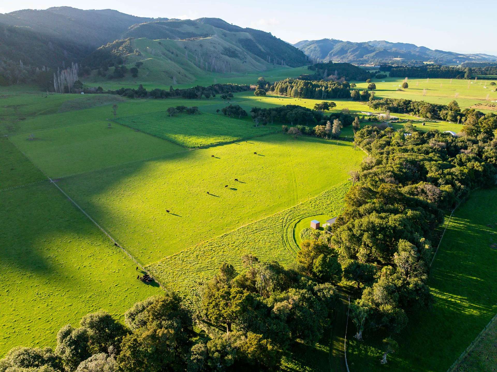 194D Underhill Road Greytown_0