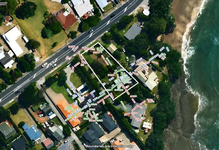 893 Whangaparaoa Road Manly_10