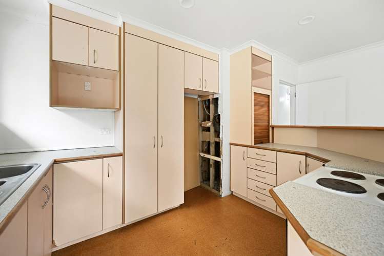 33 Frederick Drive Dinsdale_7