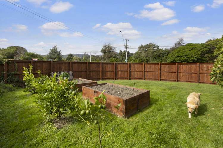 144 Oxford Terrace Epuni_8