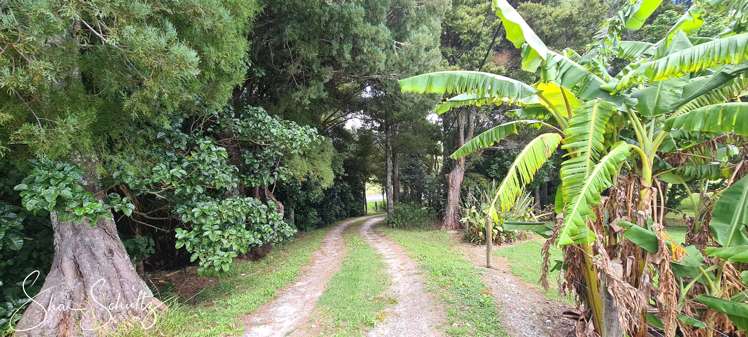 105 Gorge Road Maungaturoto_1