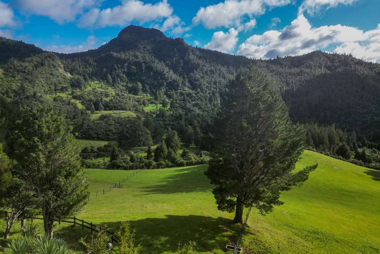 555 Mill Creek Road Kaimarama_34