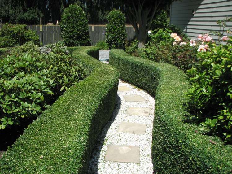 110 Rakaia Terrace Rakaia_11