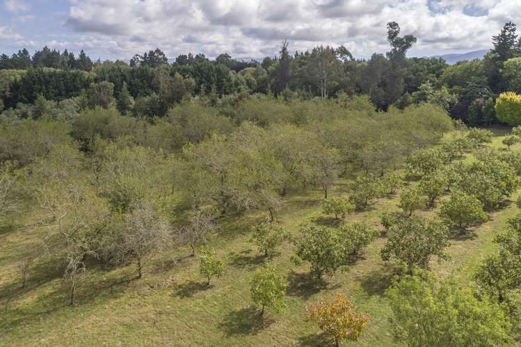 57 Station Road Loburn_18