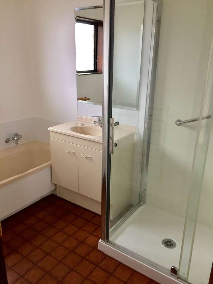 1/20 Allenby Road Panmure_10