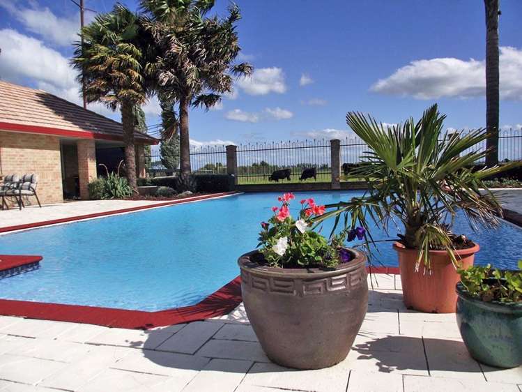 195 Te Kawana Road Te Aroha_32