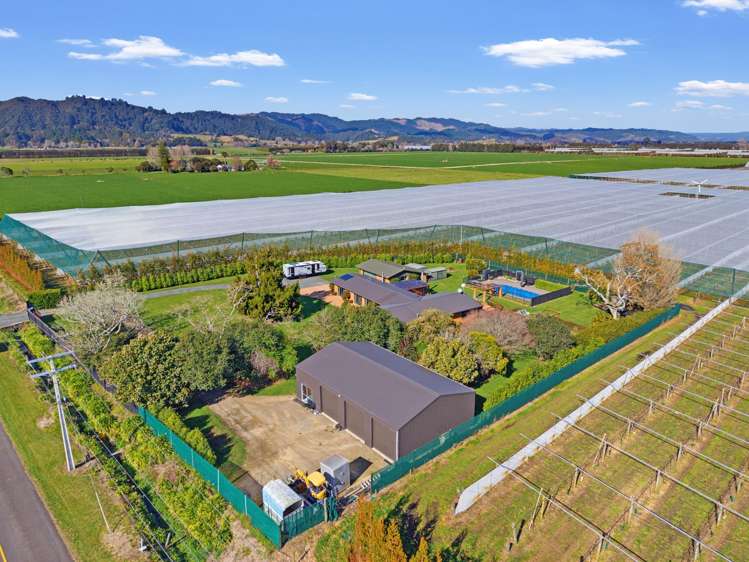 89 McCracken Road Edgecumbe_29