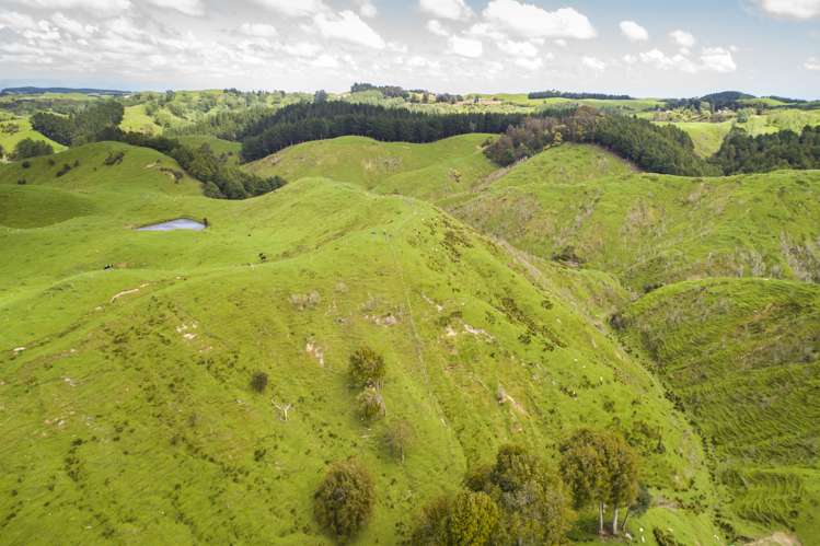 648 Finnis Road Pohangina_11