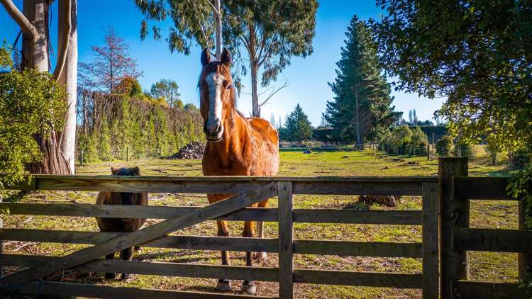 173 Bells Road West Melton_17