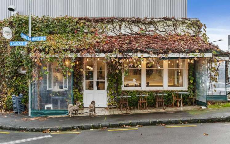 Apt 1G, 36 College Hill Freemans Bay_15