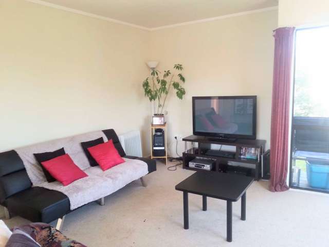 120a Nixon Street Hamilton East_2