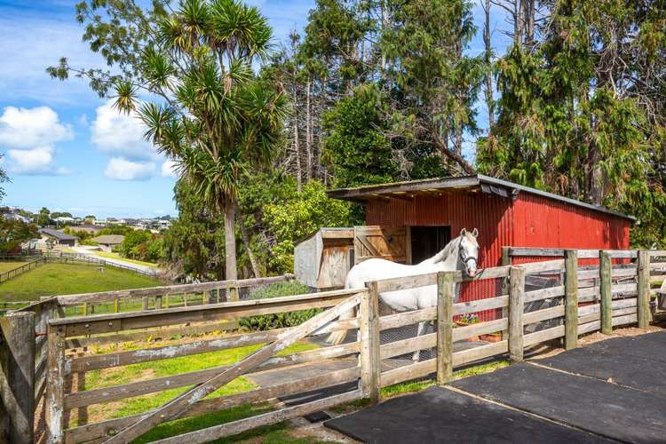 124 Mahurangi East Road Snells Beach_27