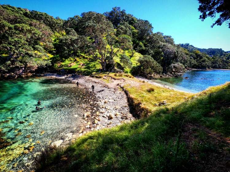 216 Matapaua Bay Road_2