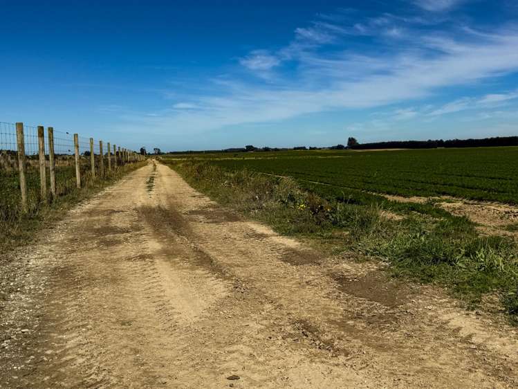 486 Irving Road and 150 Angle Road Woodlands_7