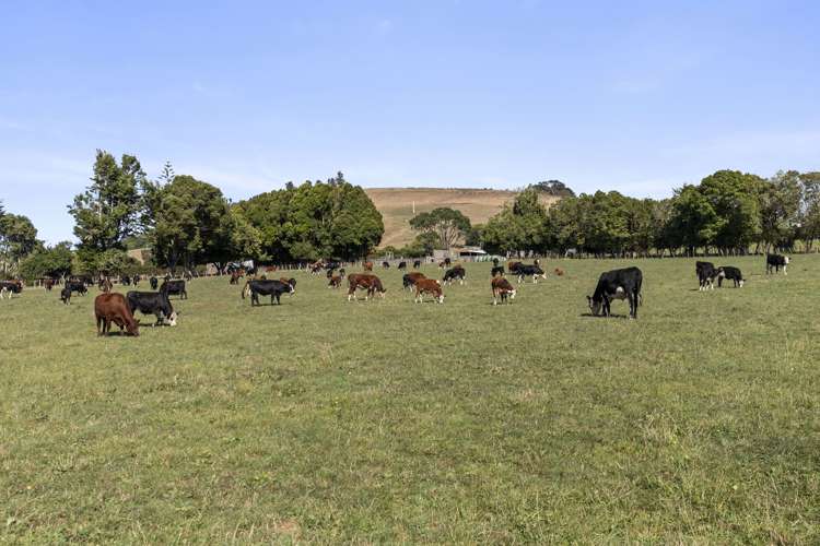 691 Highway 22 Pukekawa_10