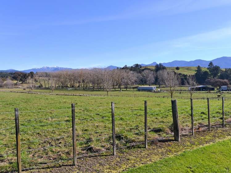 271 Central Road South Upper Moutere_19