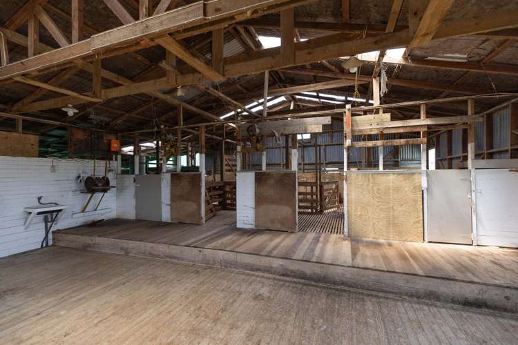 282 Girls High School Road Pukehuia_13